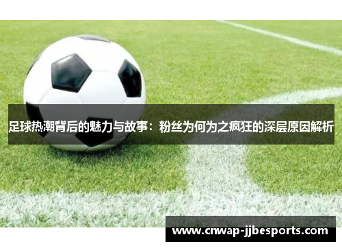 足球热潮背后的魅力与故事：粉丝为何为之疯狂的深层原因解析