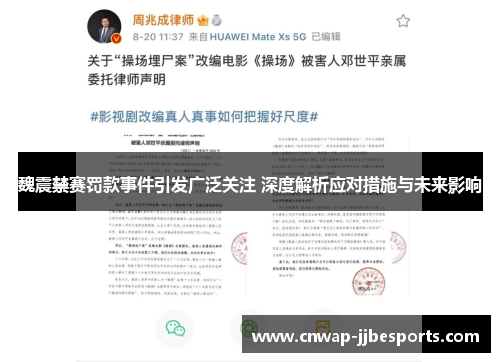 魏震禁赛罚款事件引发广泛关注 深度解析应对措施与未来影响
