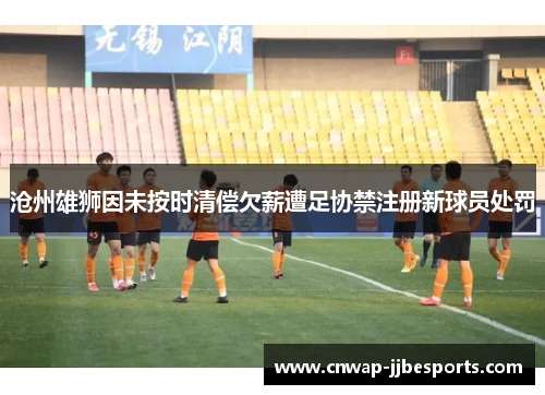 沧州雄狮因未按时清偿欠薪遭足协禁注册新球员处罚